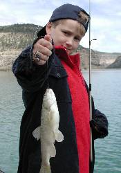 fish2.JPG (8743 bytes)
