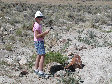 P7032693.jpg