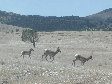 P7032709.jpg