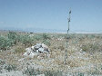 06.jpg