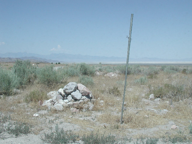 06.jpg