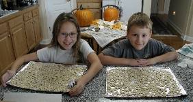 pumpkinseeds.JPG (42014 bytes)